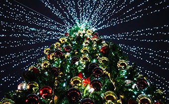 Christmas Tree with Lights